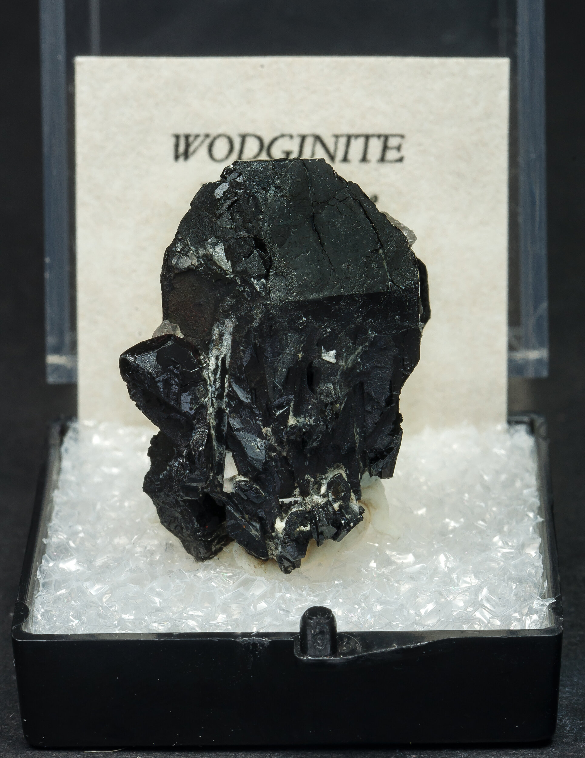 specimens/s_imagesAO2/Wodginite-TBB47AO2f1.jpg