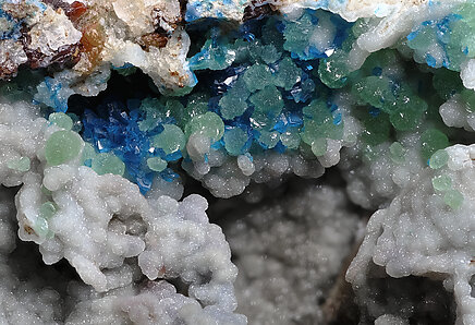 Cuprodongchuanite with Hemimorphite and Veszelyite. Detail / Photo: Joaquim Calln