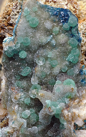 Cuprodongchuanite with Hemimorphite and Veszelyite. Detail / Photo: Joaquim Calln