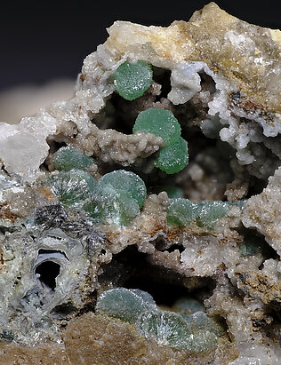 Cuprodongchuanite with Hemimorphite and Veszelyite. Detail / Photo: Joaquim Calln