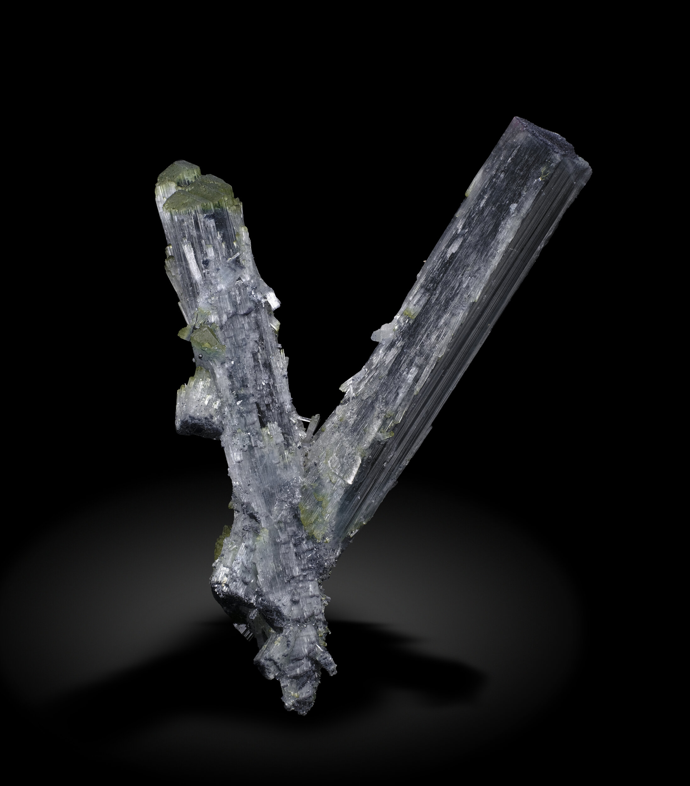 specimens/s_imagesAO3/Elbaite-MTF90AO3-0047s.jpg