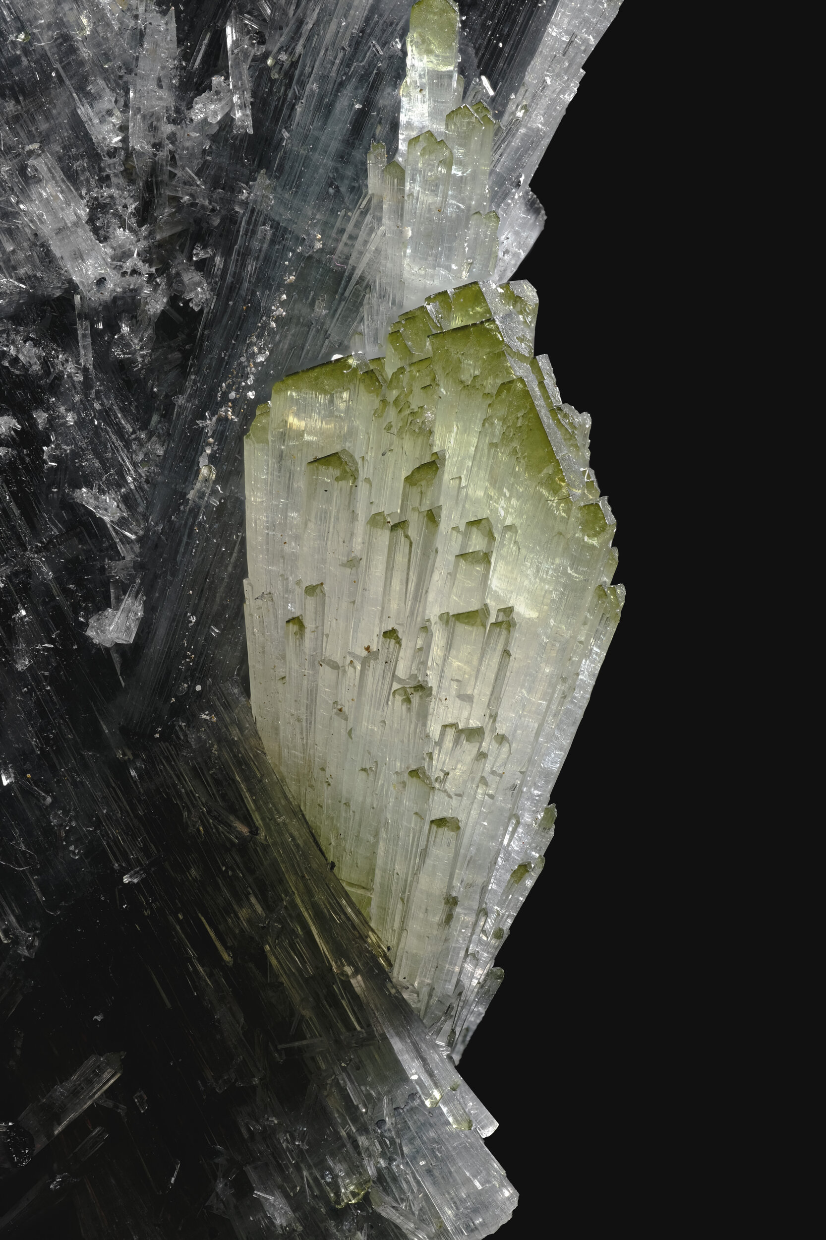 specimens/s_imagesAO3/Elbaite-MTF90AO3-0048d.jpg