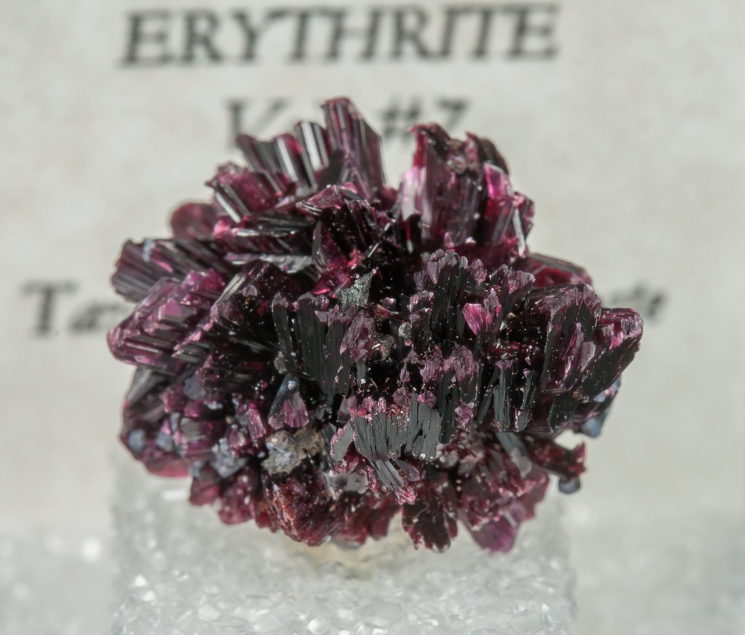 specimens/s_imagesAO3/Erythrite-TAR16AO3f2.jpg