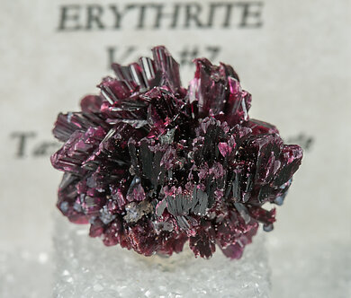 Erythrite. 