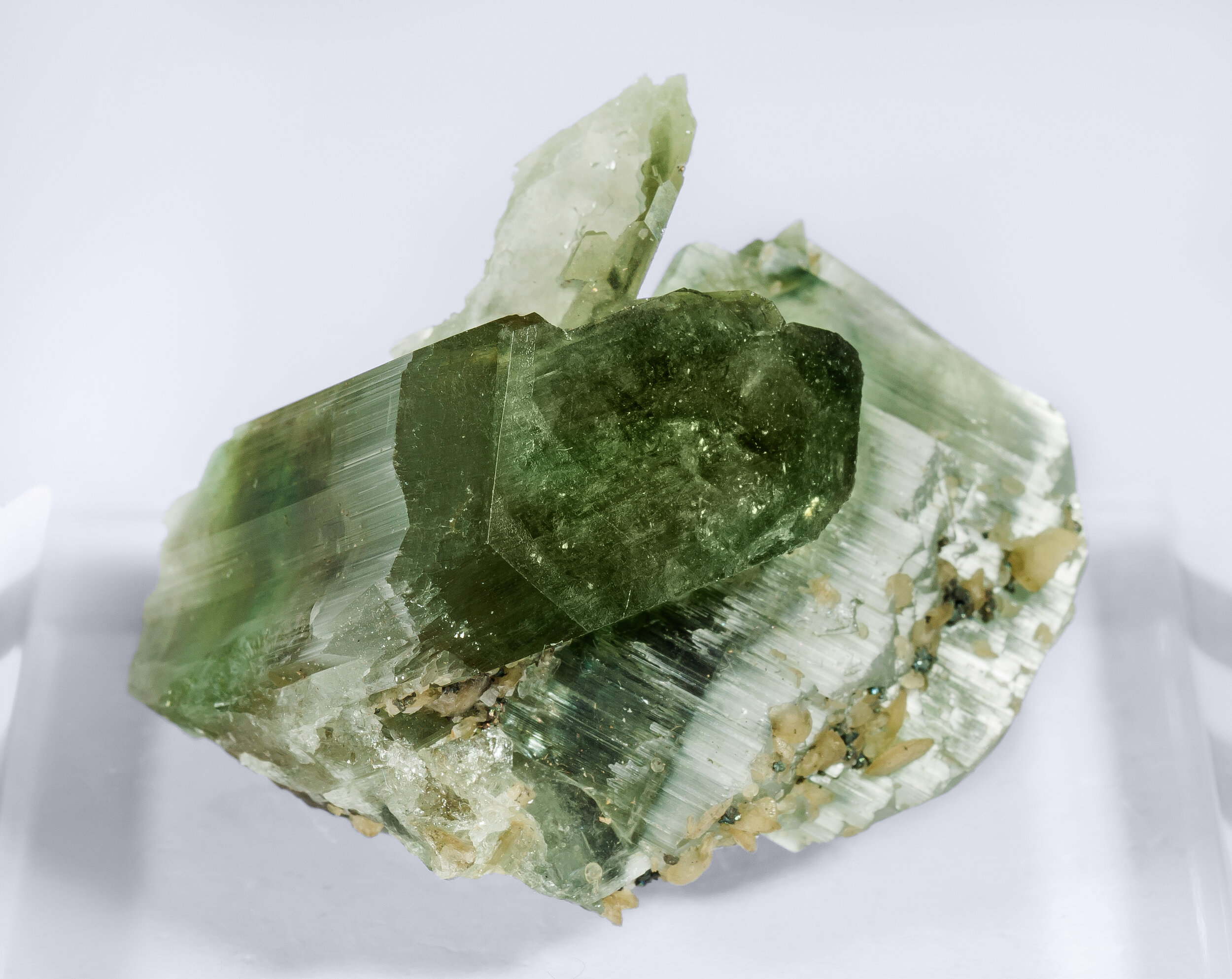 specimens/s_imagesAO3/Fluorapatite-JFD111AO3r.jpg