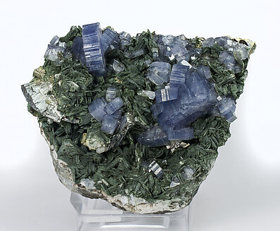 Fluorapatite with Arsenopyrite, Muscovite and Chlorite.