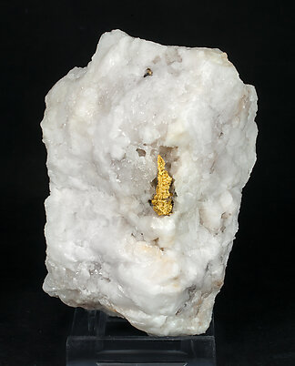 Gold (spinel twin) with Quartz. Front