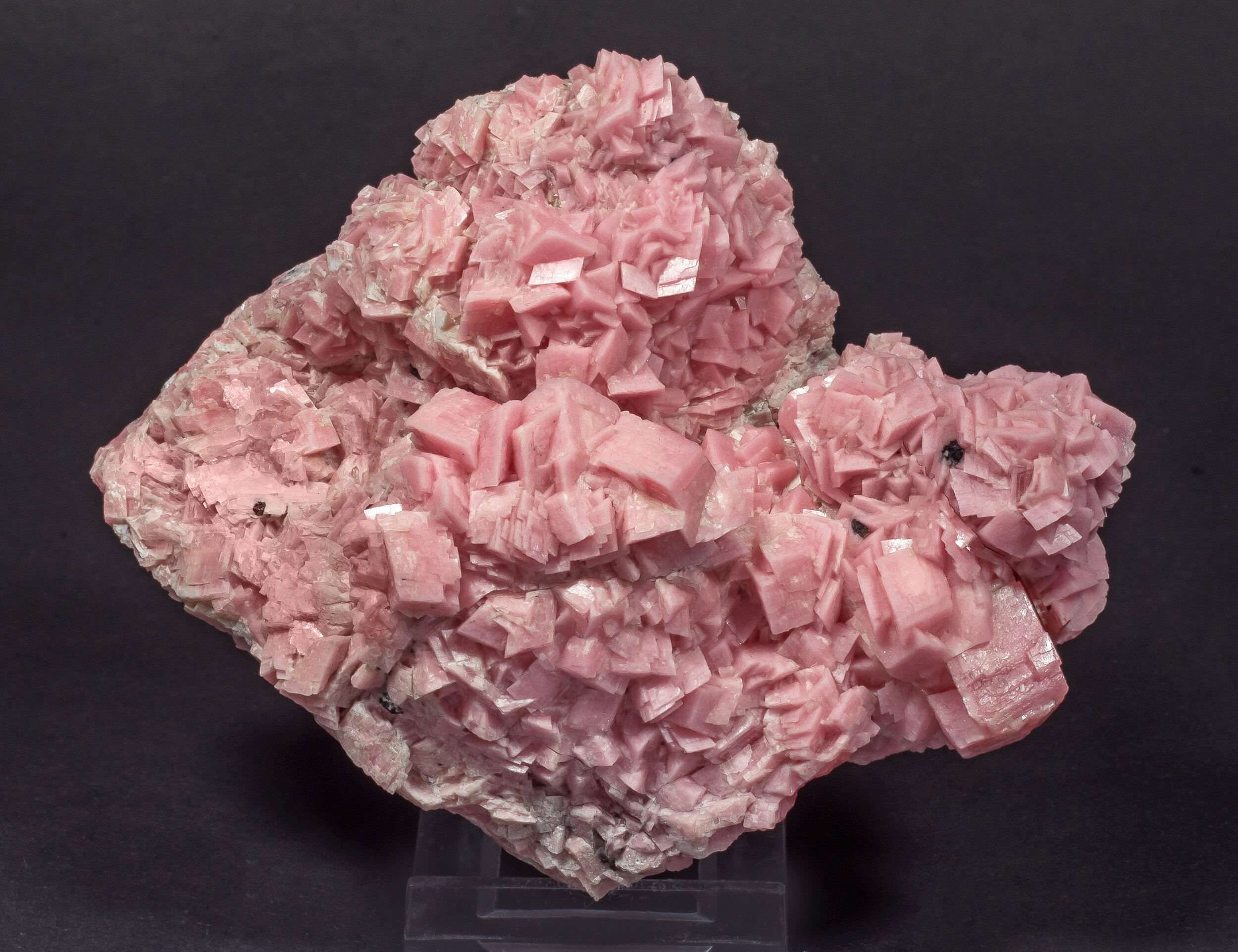 specimens/s_imagesAO3/Rhodochrosite-TVY91AO3f.jpg