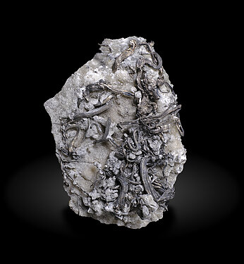 Plata con Calcita. Vista frontal / Foto: Joaquim Callén