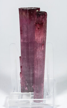 Elbaite (variety rubellite). Front