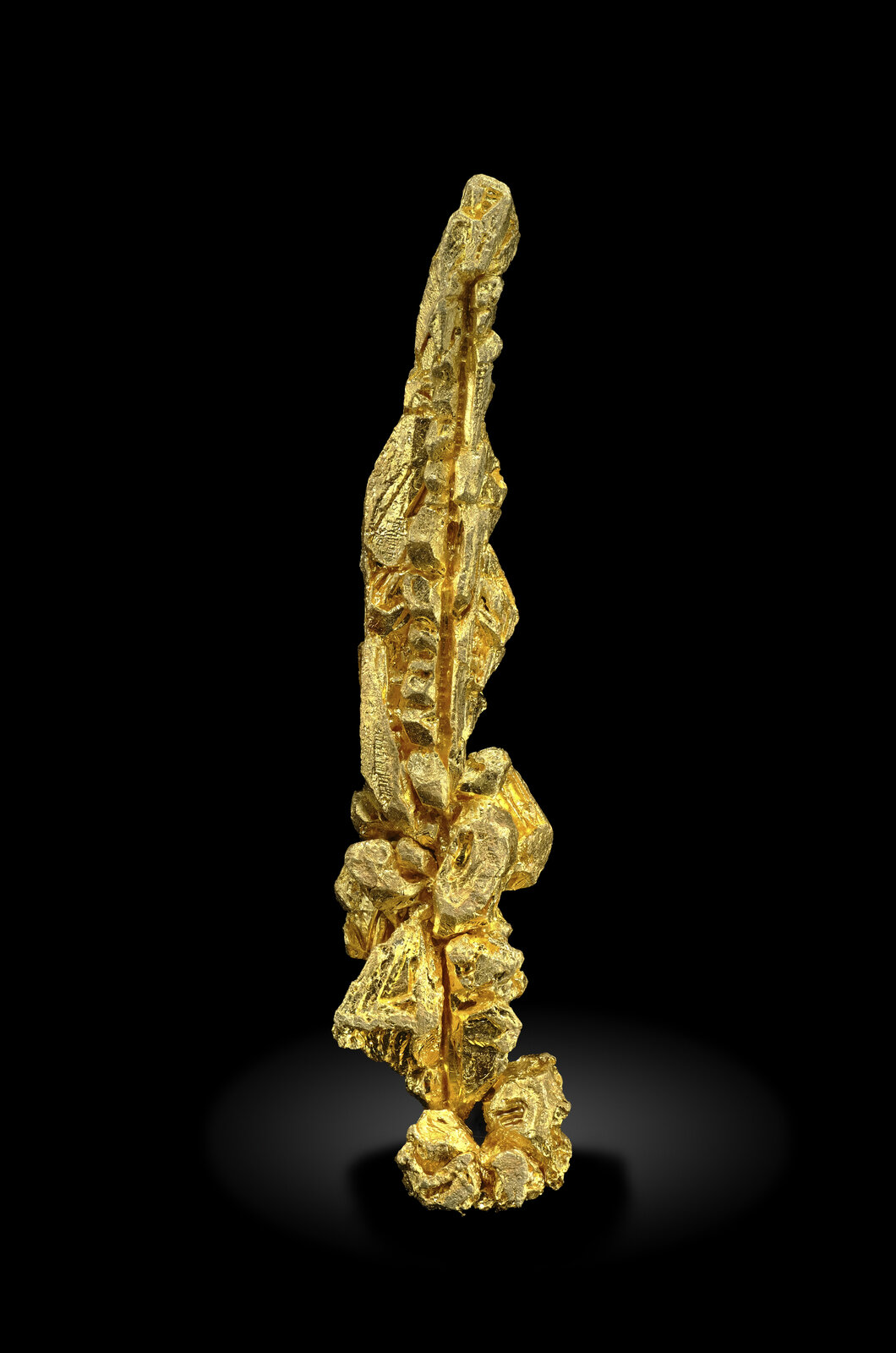 specimens/s_imagesAO4/Gold-ERF94AO4-7914f.jpg