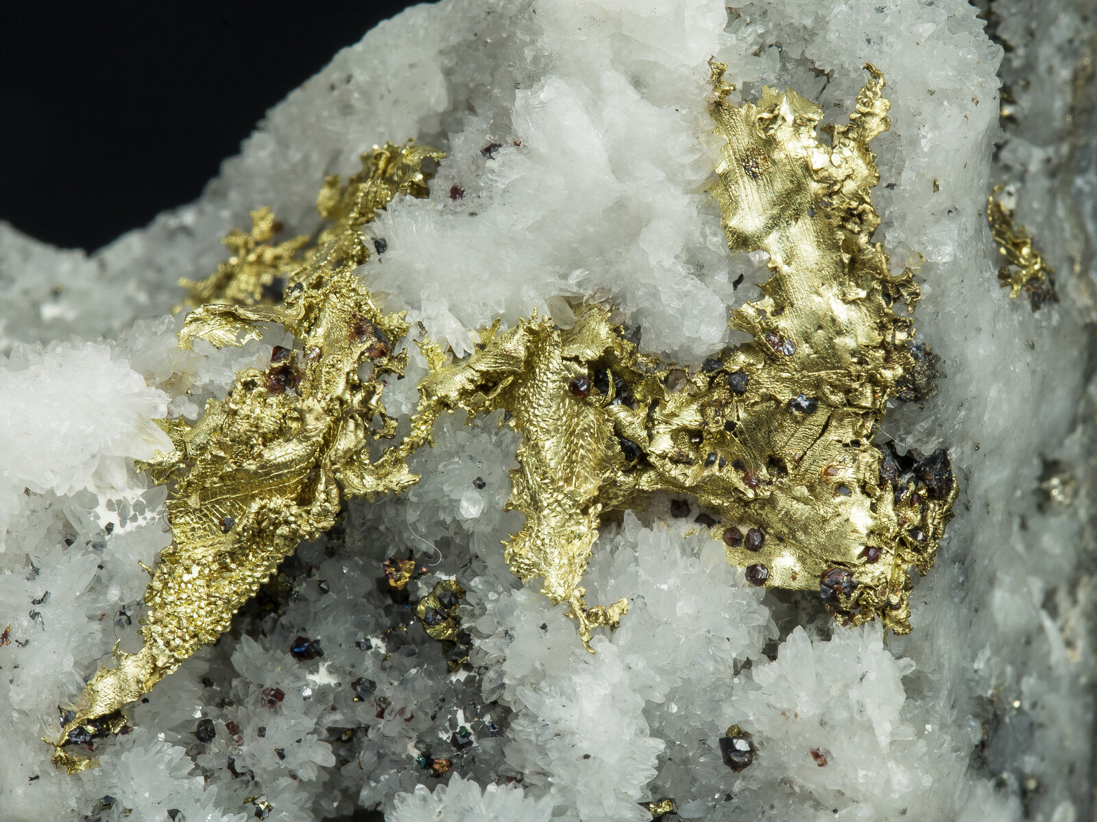 specimens/s_imagesAO4/Gold-TLP96AO4d1.jpg