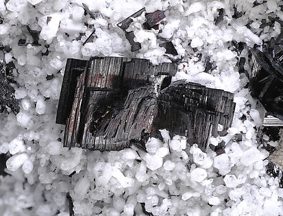 Hbnerite with Quartz. Detail / Photo: Joaquim Calln