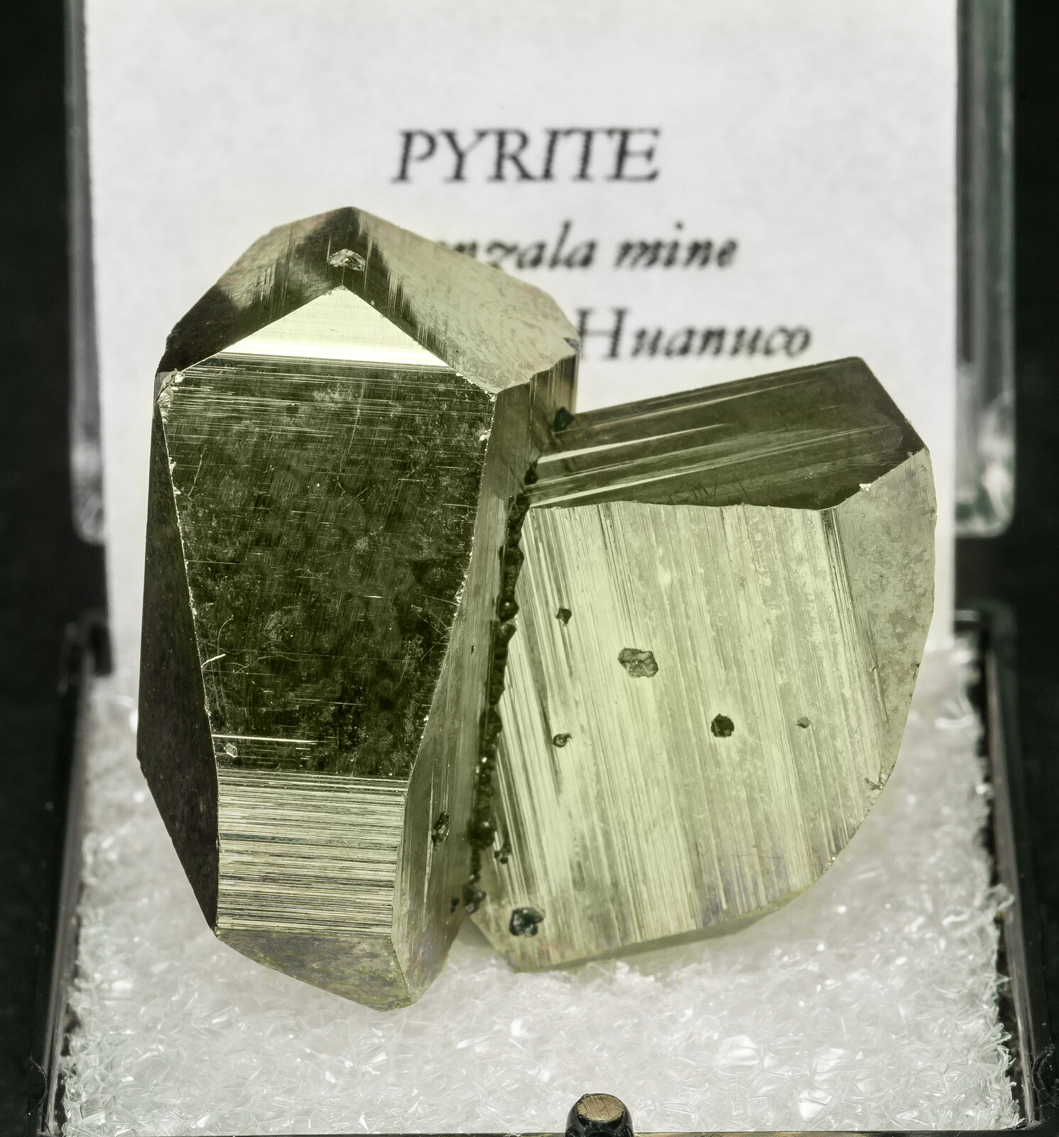 specimens/s_imagesAO4/Pyrite-TBD26AO4f2.jpg
