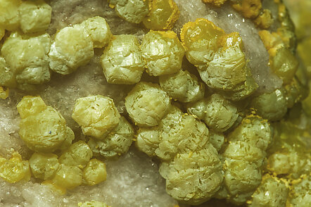 Pyromorphite (variety As-bearing pyromorphite). 