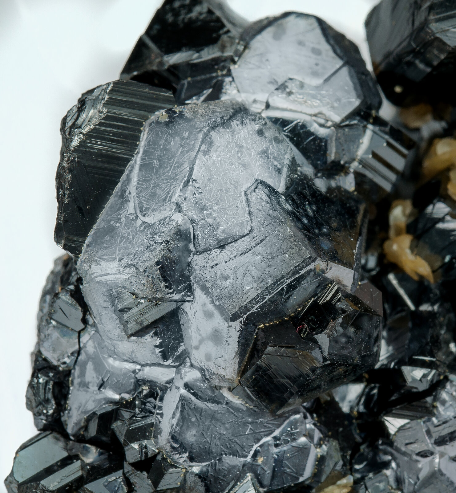 specimens/s_imagesAO4/Sphalerite-TRM66AO4d.jpg