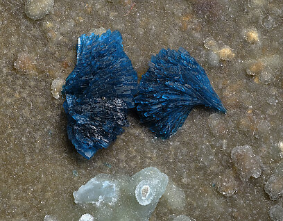 Veszelyite on Hemimorphite. Detail / Photo: Joaquim Calln