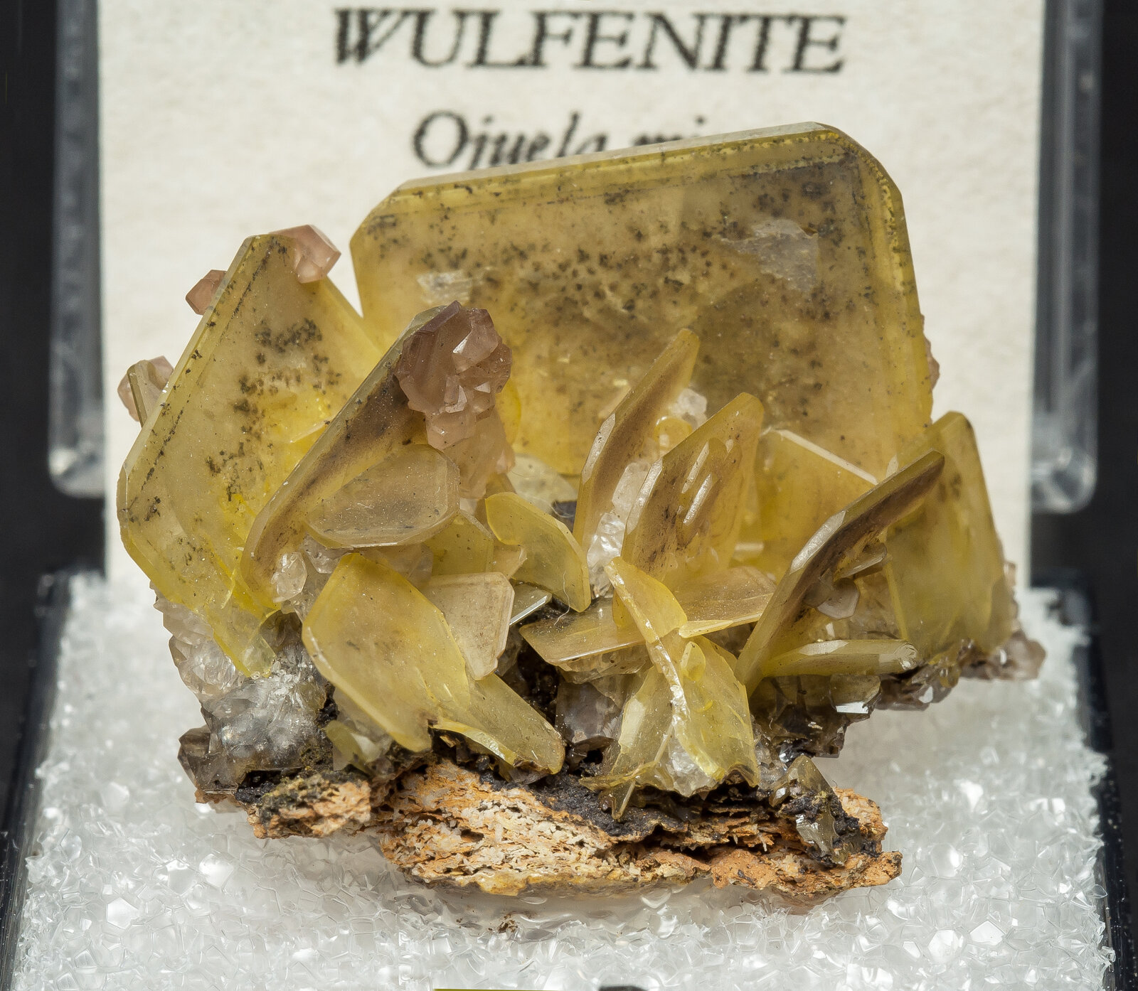 specimens/s_imagesAO4/Wulfenite-TCP27AO4f2.jpg