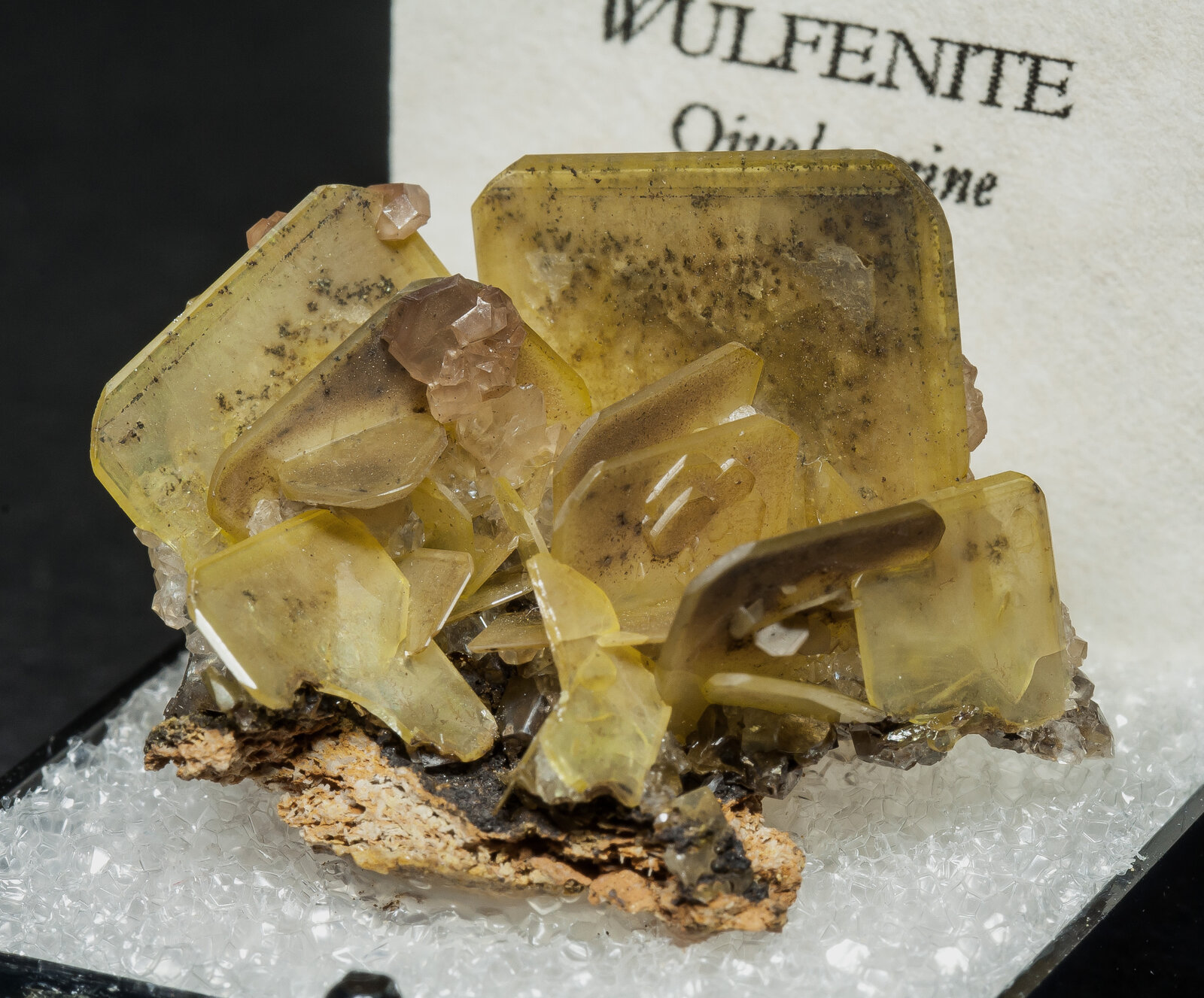 specimens/s_imagesAO4/Wulfenite-TCP27AO4s.jpg