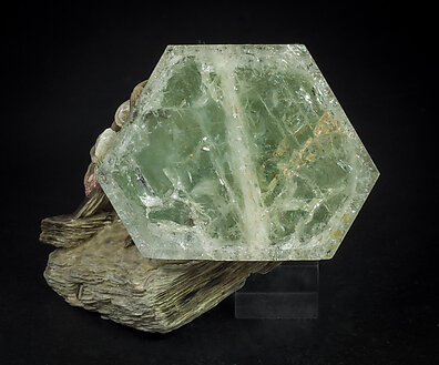 Beryl (variety aquamarine) with Muscovite. Top