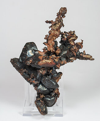 Copper with Tenorite and Calcite. Rear