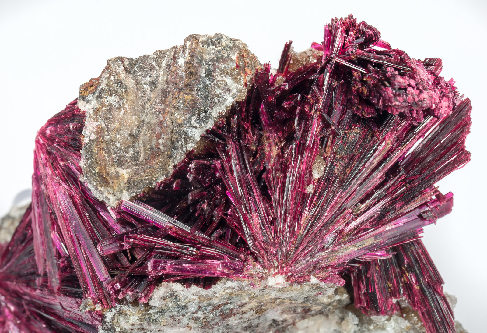 specimens/s_imagesAO5/Erythrite-EGB93AO5d.jpg