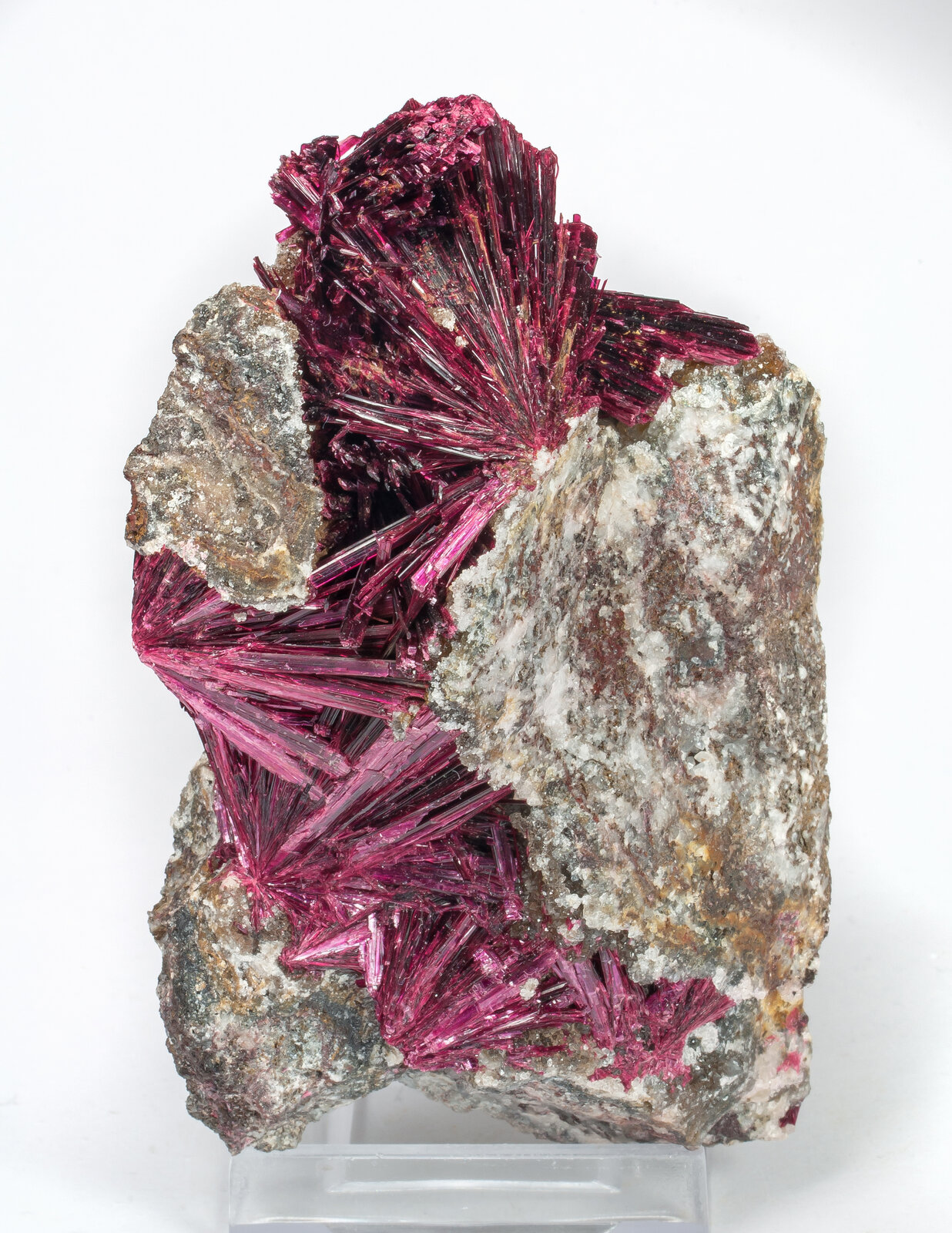 specimens/s_imagesAO5/Erythrite-EGB93AO5f.jpg