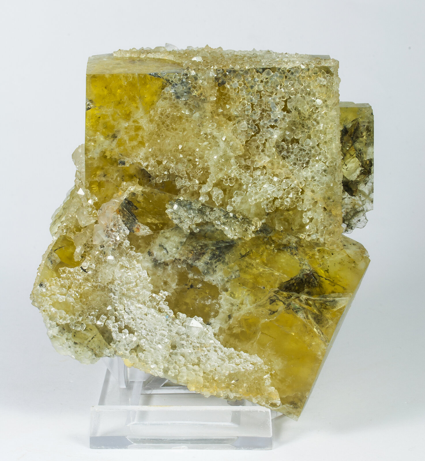 specimens/s_imagesAO5/Fluorite-ETF88AO5f.jpg