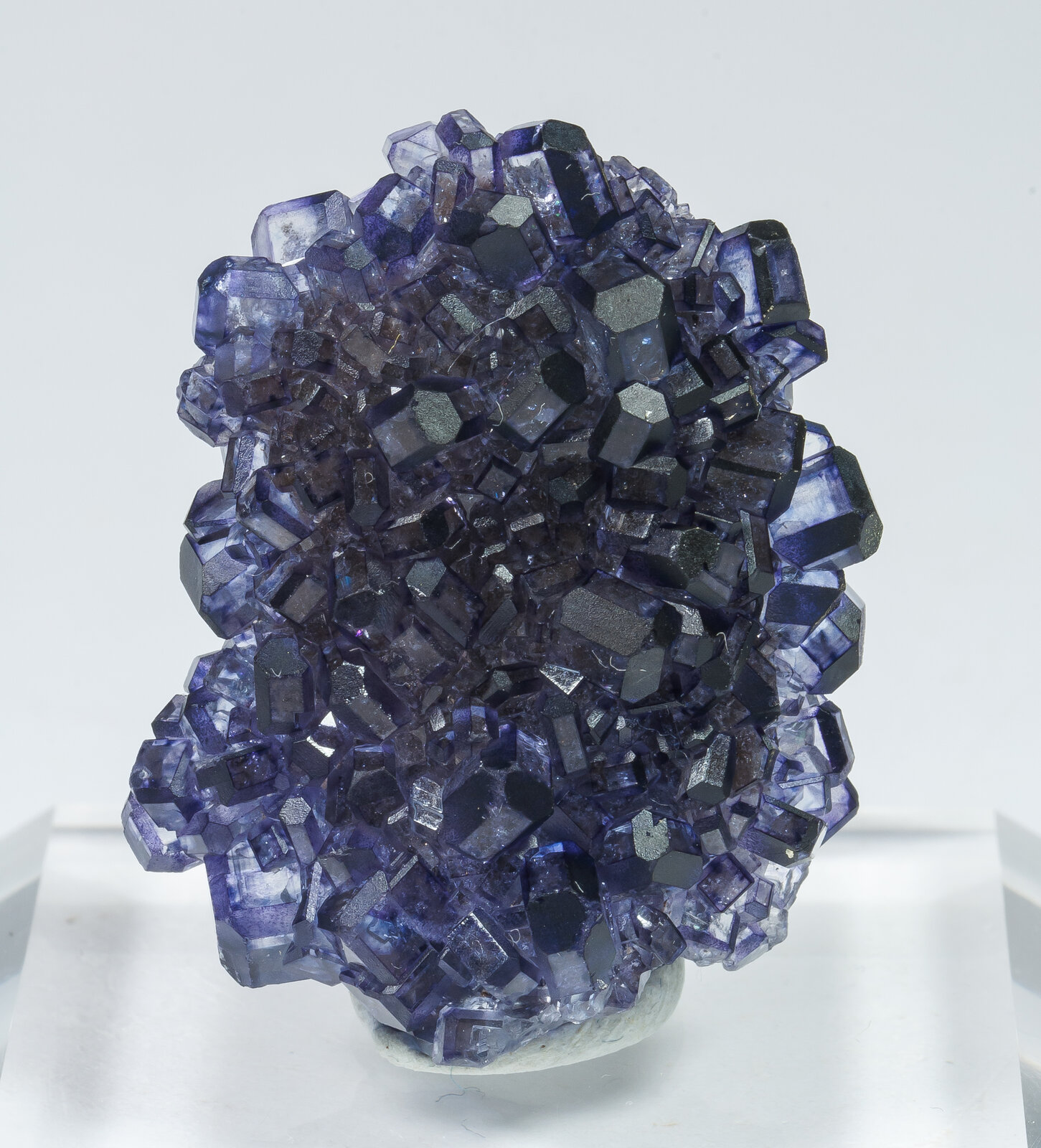 specimens/s_imagesAO5/Fluorite-JFD127AO5f.jpg