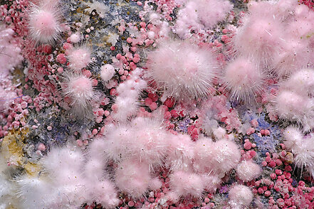 Picropharmacolite. Detail / Photo: Joaquim Calln