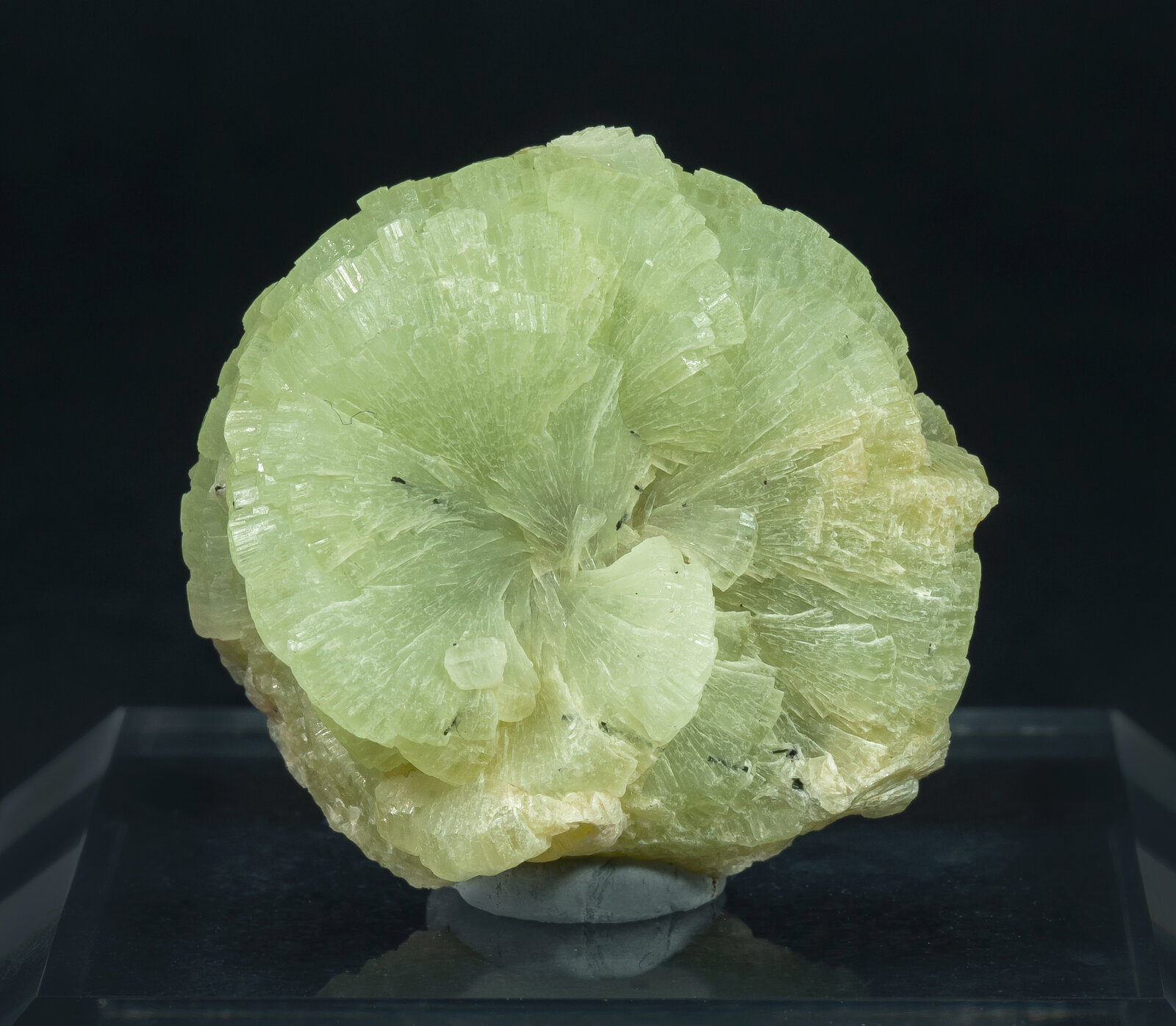 specimens/s_imagesAO5/Prehnite-JFD126AO5f.jpg