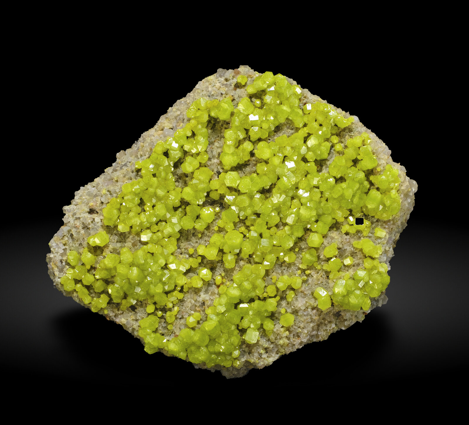 specimens/s_imagesAO5/Pyromorphite-TZL48AO5-7045f.jpg