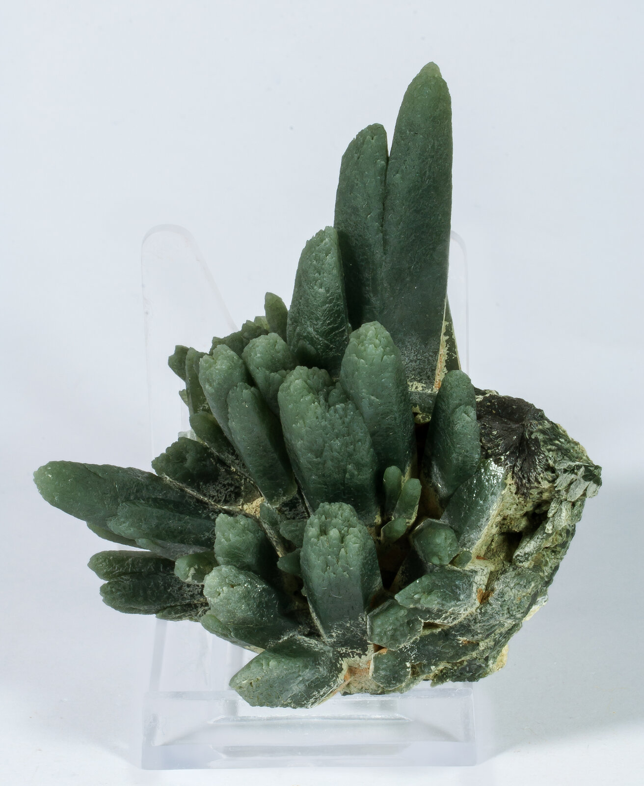 specimens/s_imagesAO5/Quartz_prase-TLP27AO5s1.jpg