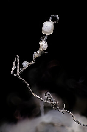 Silver with Calcite. Detail / Photo: Joaquim Callén