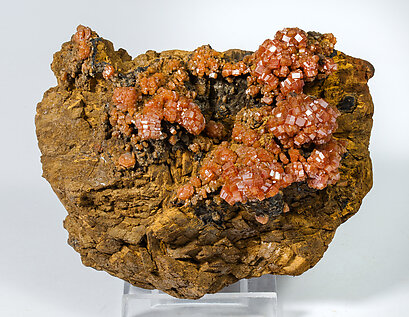 Vanadinite on Siderite. Side