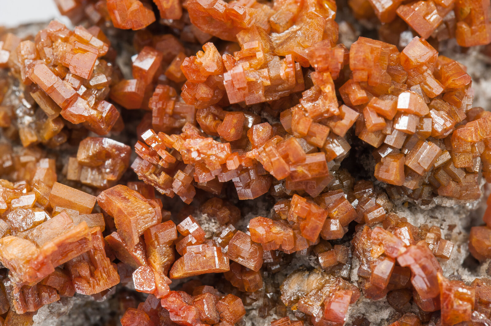 specimens/s_imagesAO5/Vanadinite-TRR86AO5d.jpg