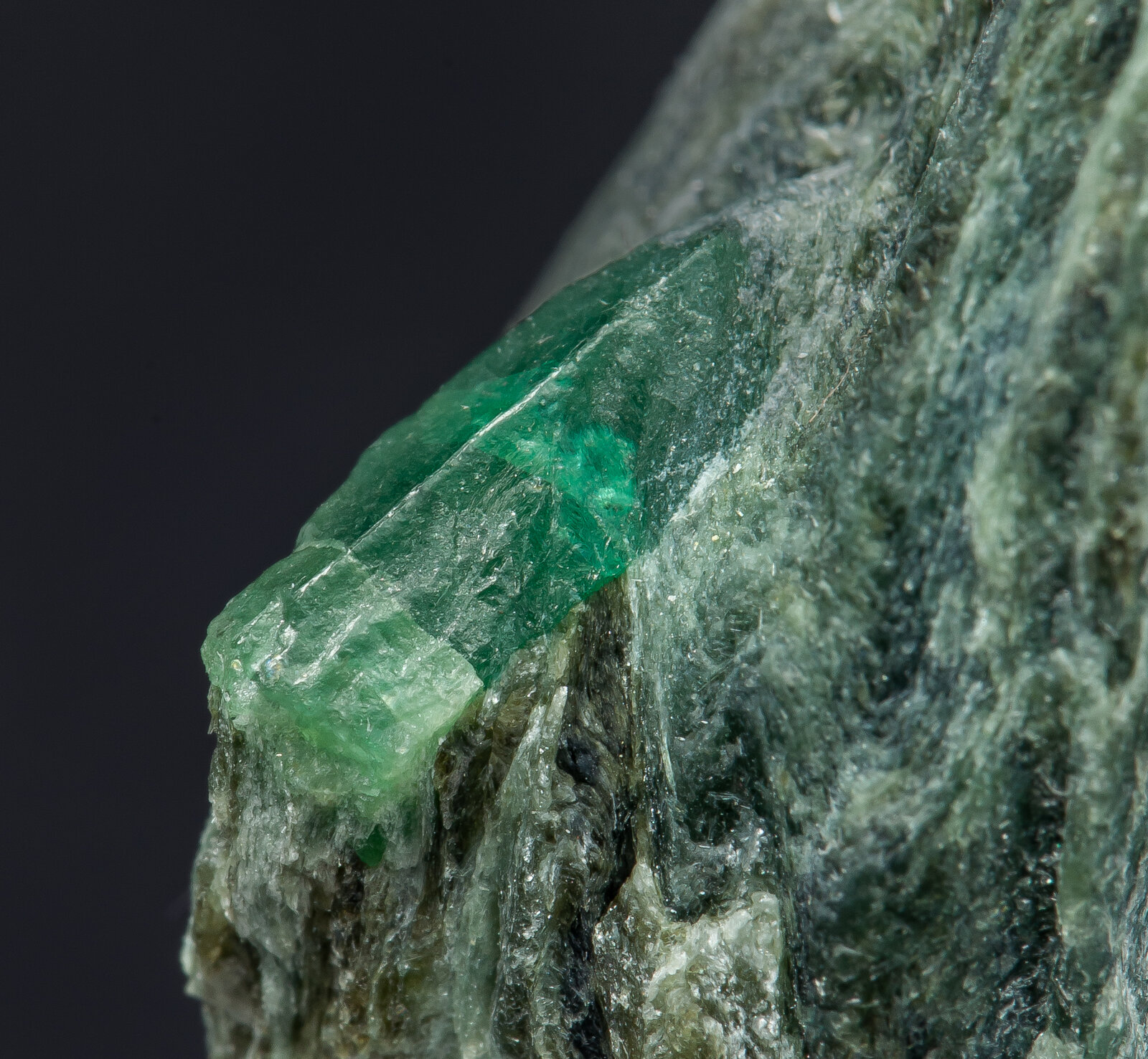 specimens/s_imagesAO6/Beryl_emerald-BFR64AO6d.jpg