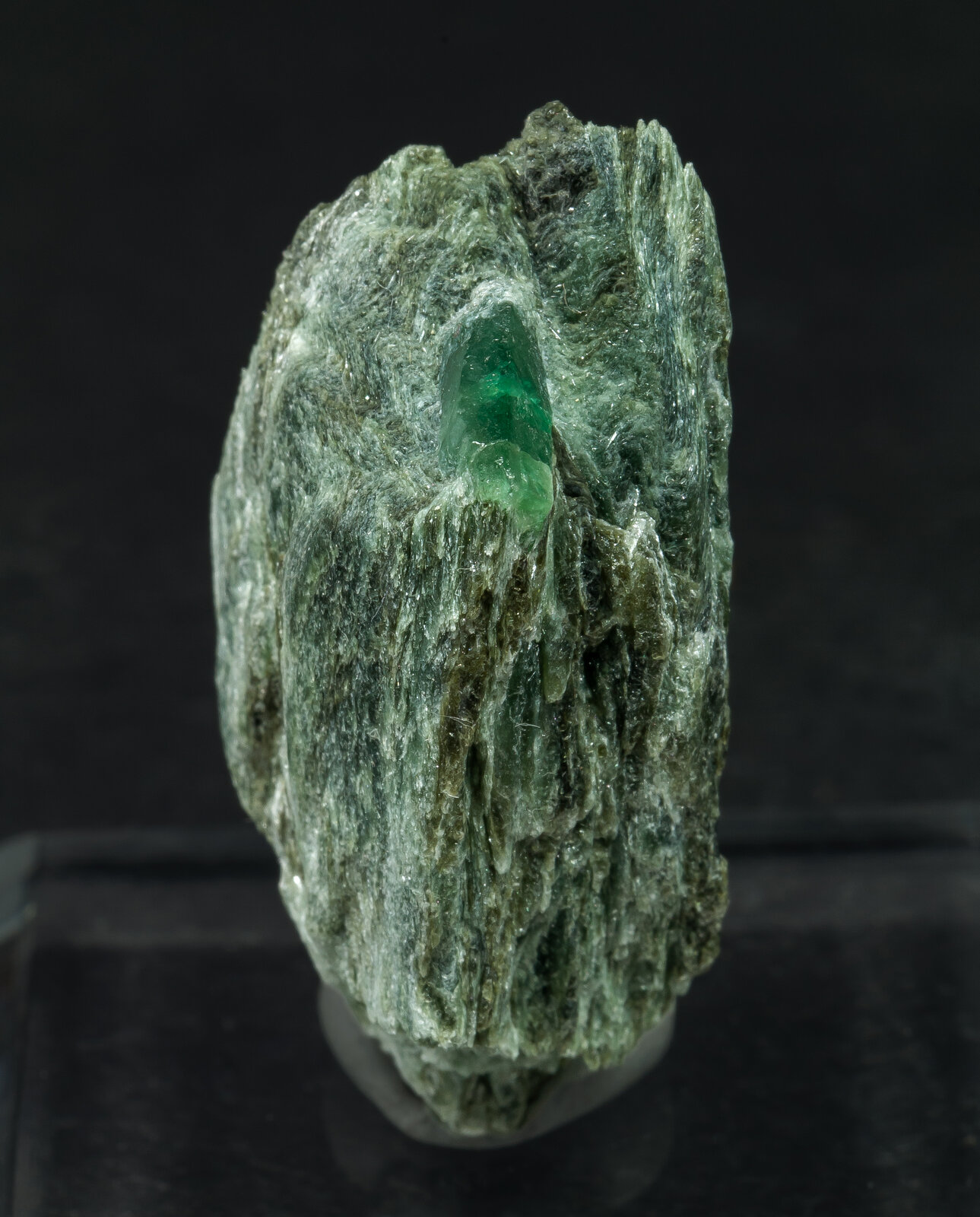 specimens/s_imagesAO6/Beryl_emerald-BFR64AO6f.jpg