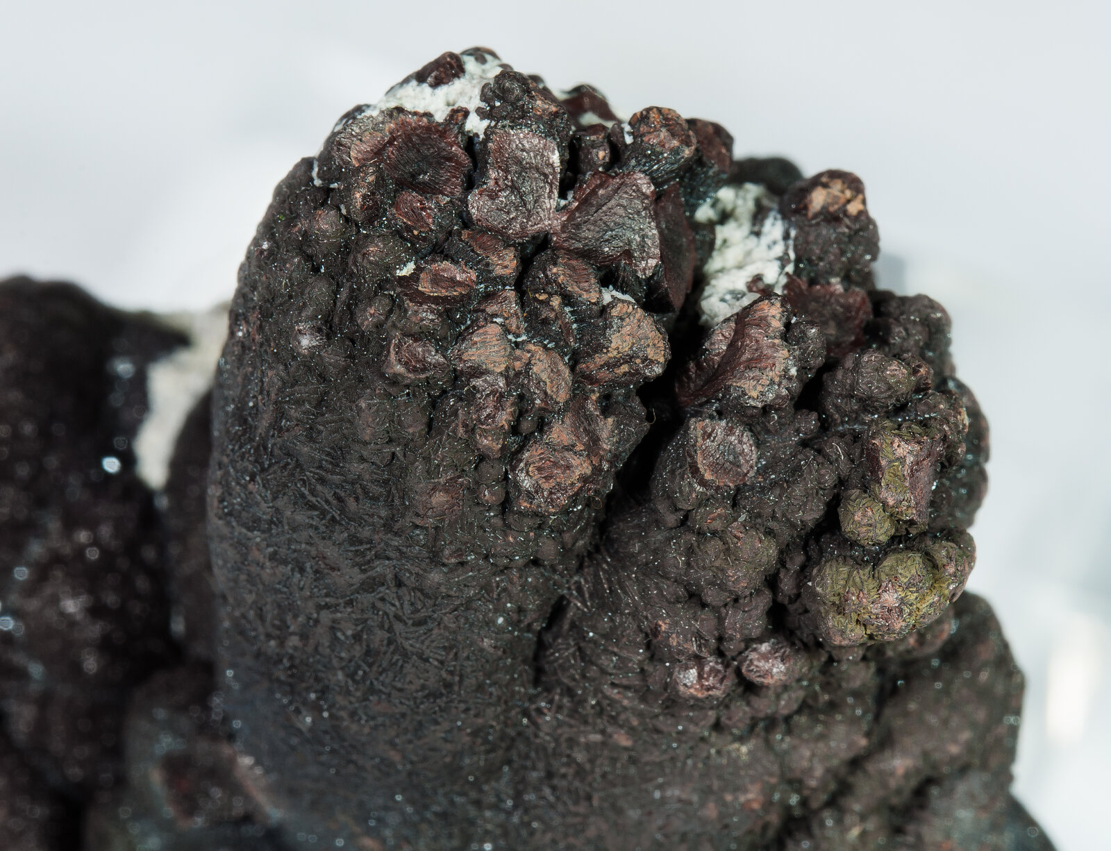 specimens/s_imagesAO6/Cassiterite-TBT48AO6d1.jpg