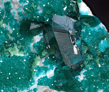 Dioptase on Dolomite and with Cerussite. Detail / Photo: Joaquim Calln