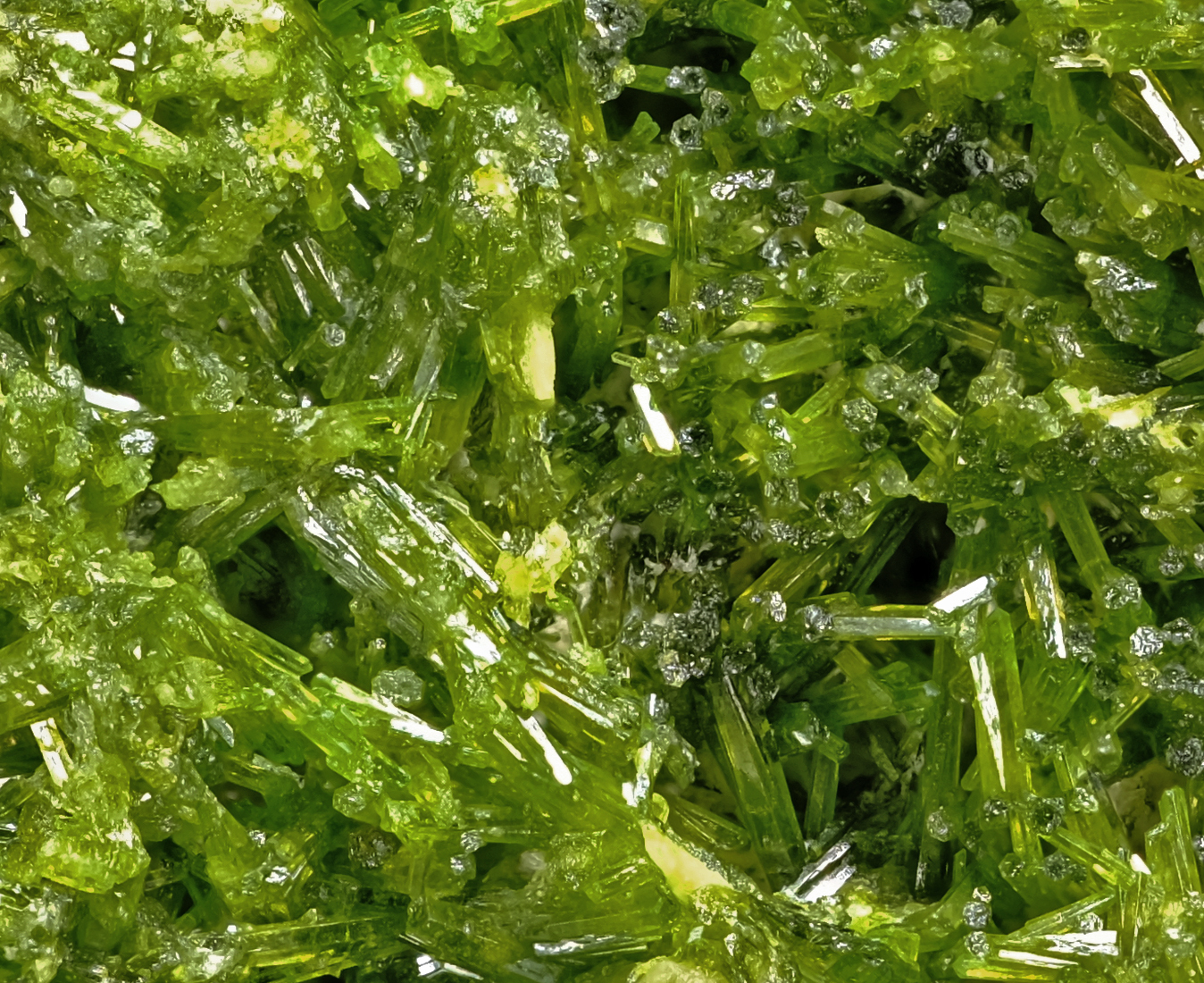 specimens/s_imagesAO6/Pyromorphite-BXA67AO6-2699-d.jpg