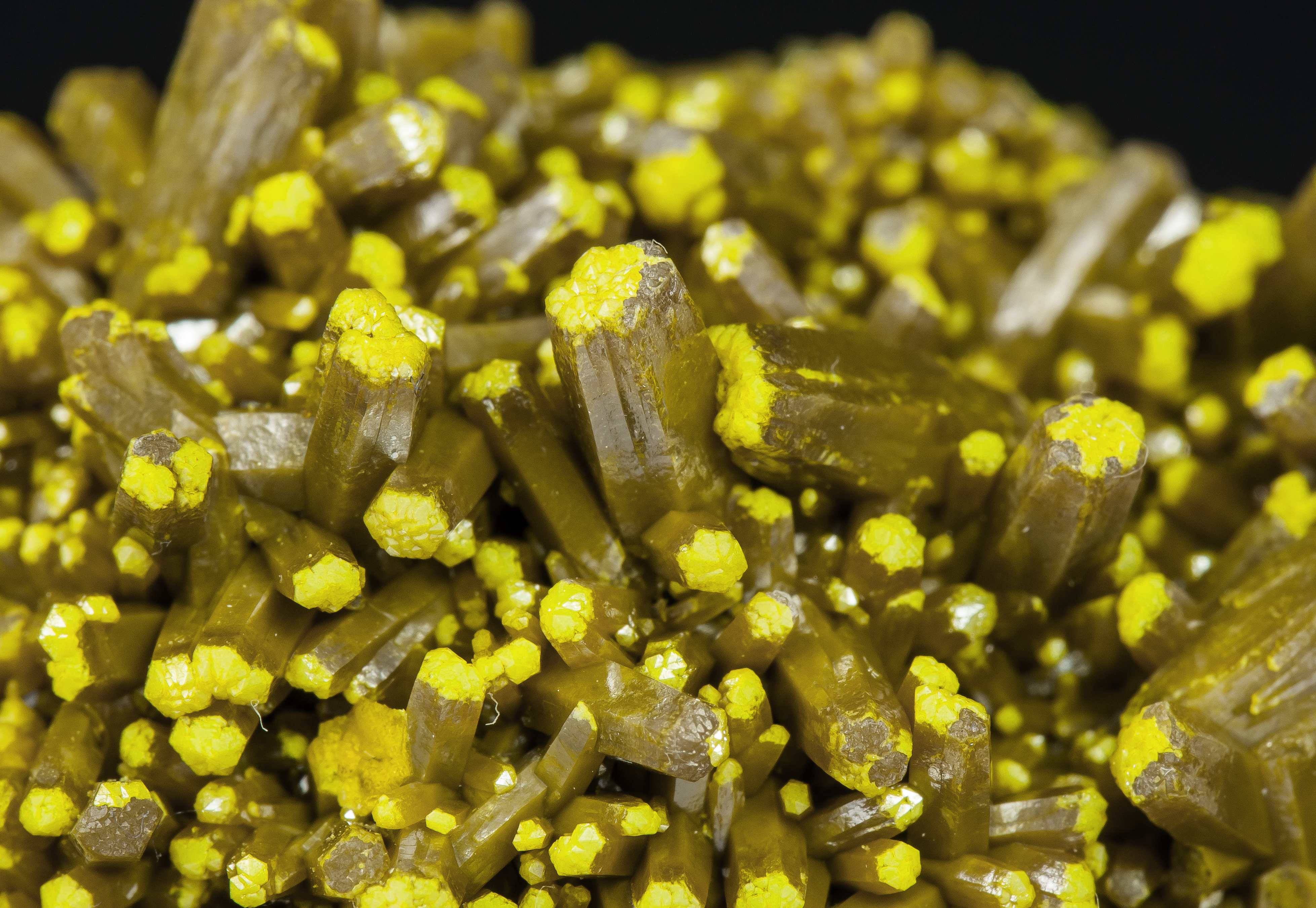 specimens/s_imagesAO6/Pyromorphite-TFM98AO6d.jpg