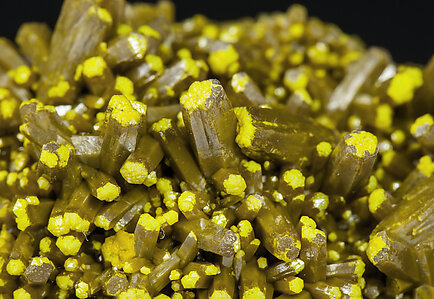 Pyromorphite. 