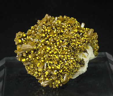 Pyromorphite. Front