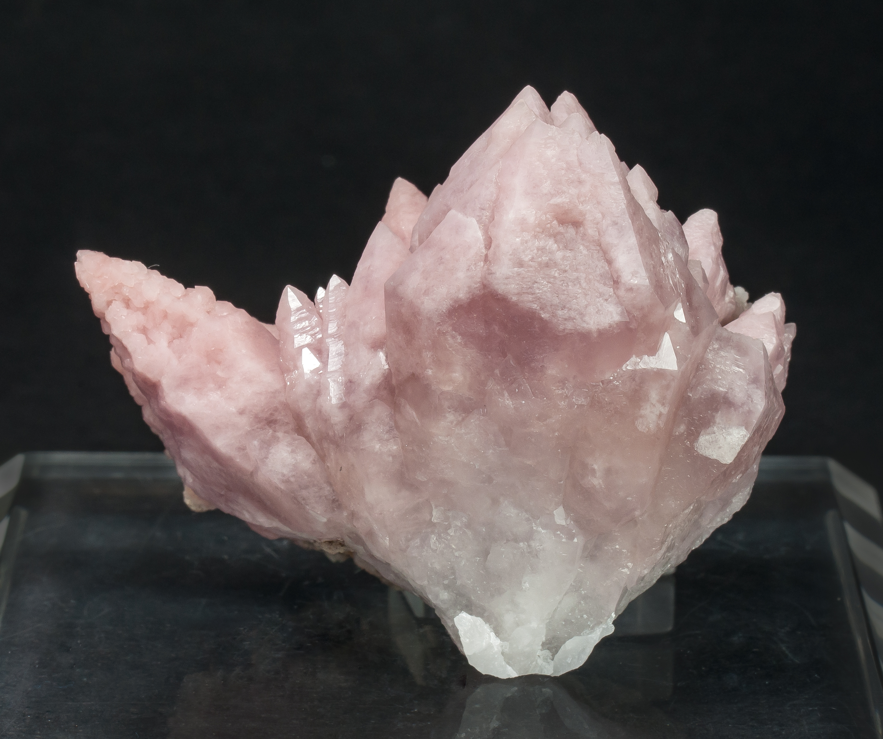 specimens/s_imagesAO6/Quartz_rose-TFR48AO6r.jpg