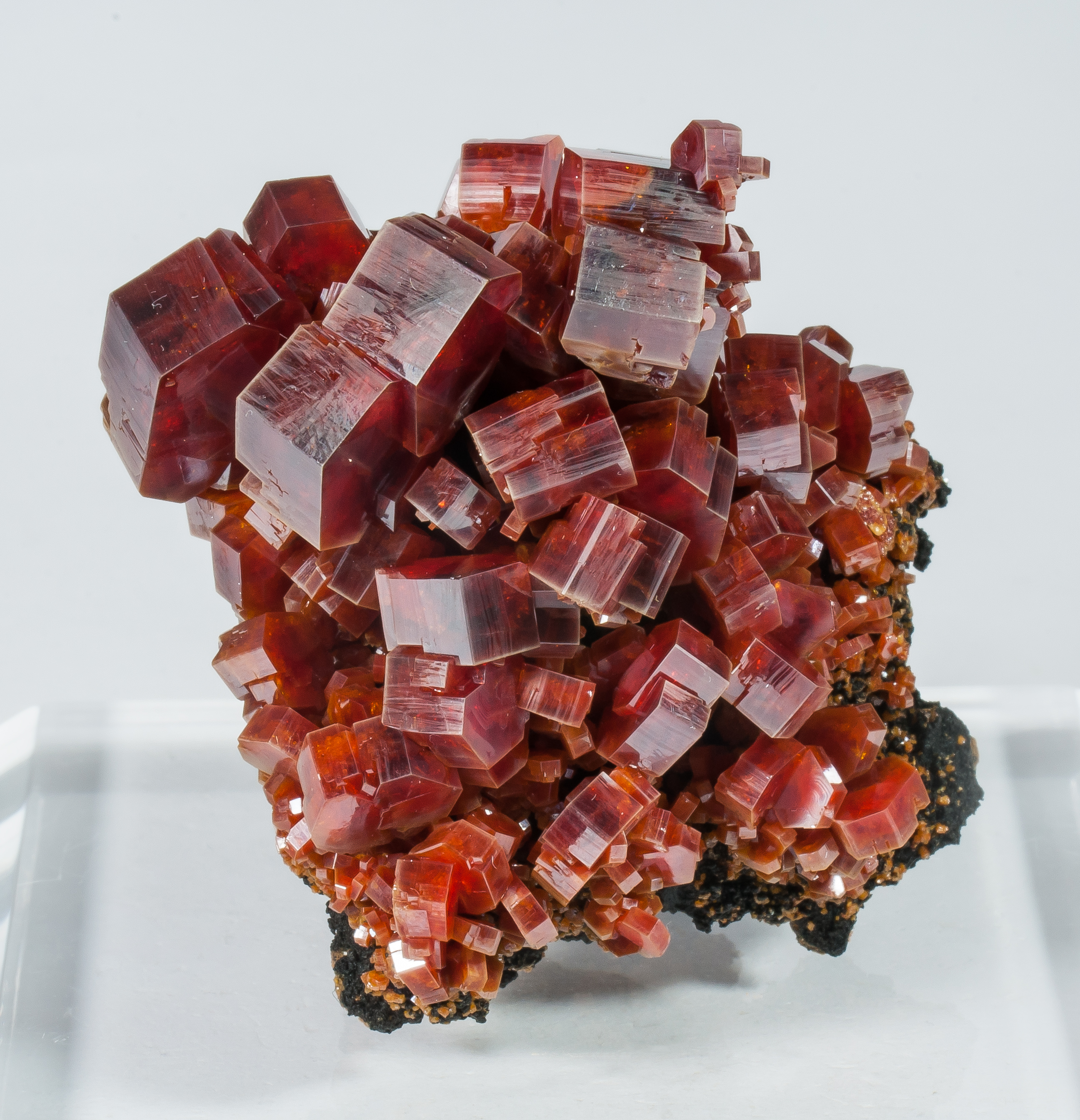 specimens/s_imagesAO6/Vanadinite-JFD144AO6s.jpg