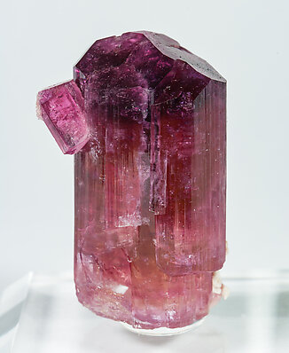 Elbaite-Schorl Series (variety rubellite).