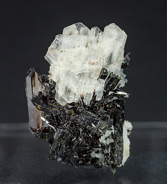 Eudidymite with Aegirine and Quartz. Front