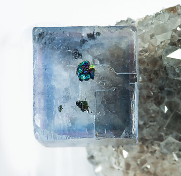 Fluorite with Chalcopyrite and Quartz. 