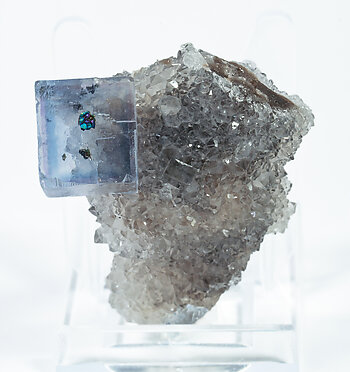 Fluorite with Chalcopyrite and Quartz.